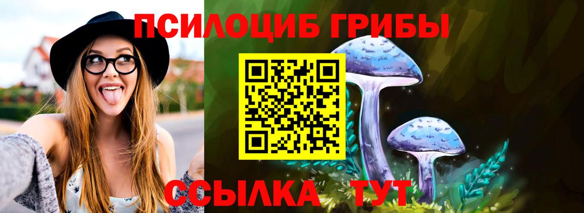 Псилоцибиновые грибы Cubensis  Галлюциногенные грибы Magic Shrooms  Сальск  Вход с VPN 
