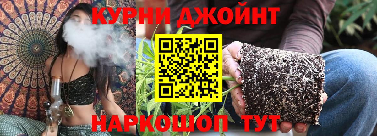 Меф Сальск